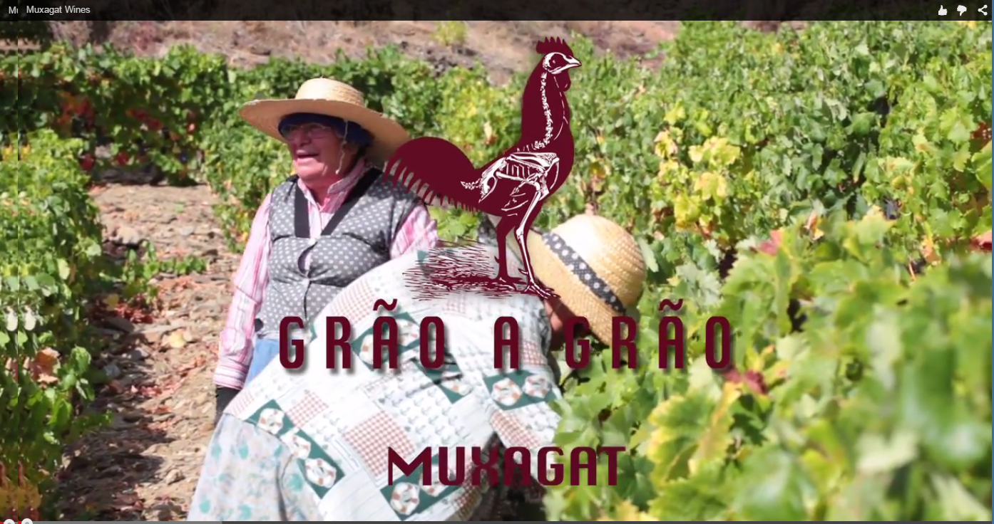 Muxagat wines